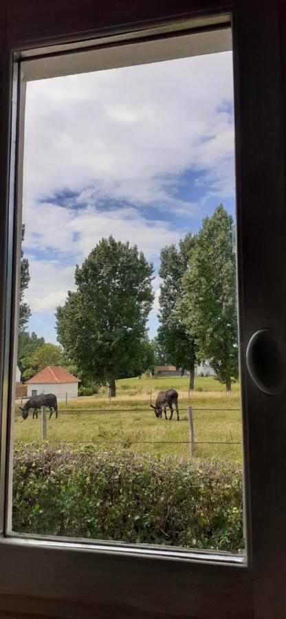 Chambres D'Hotes B&B Cote D'Opale La Fermette Du Lac Ardres Εξωτερικό φωτογραφία